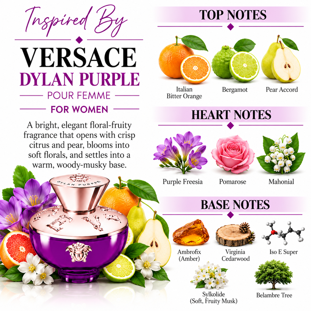 Inspired by Versace - Dylan Purple